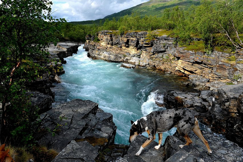 Bo im Abiskocanyon